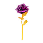 https://velizo.hr/termekkategoria/szepsegapolas-egeszseg/
