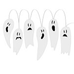https://velizo.hr/termekkategoria/szepsegapolas-egeszseg/