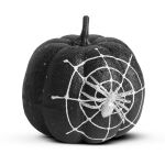 https://velizo.hr/termekkategoria/szepsegapolas-egeszseg/