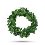 https://velizo.hr/termekkategoria/szepsegapolas-egeszseg/