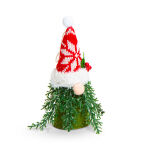 https://velizo.hr/termekkategoria/szepsegapolas-egeszseg/