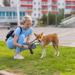 https://velizo.hr/termekkategoria/szepsegapolas-egeszseg/