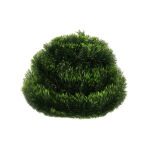 https://velizo.hr/termekkategoria/szepsegapolas-egeszseg/