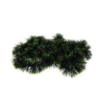 https://velizo.hr/termekkategoria/szepsegapolas-egeszseg/