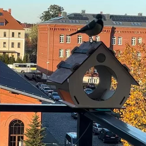 Festhető, díszíthető madáretető2 https://velizo.hr/termekkategoria/szepsegapolas-egeszseg/