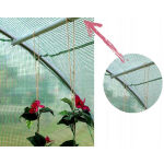 https://velizo.hr/termekkategoria/szepsegapolas-egeszseg/