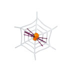 https://velizo.hr/termekkategoria/szepsegapolas-egeszseg/