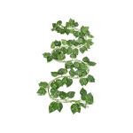 https://velizo.hr/termekkategoria/szepsegapolas-egeszseg/