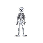 https://velizo.hr/termekkategoria/szepsegapolas-egeszseg/
