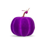 https://velizo.hr/termekkategoria/szepsegapolas-egeszseg/