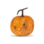 https://velizo.hr/termekkategoria/szepsegapolas-egeszseg/