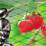 https://velizo.hr/termekkategoria/szepsegapolas-egeszseg/