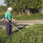 https://velizo.hr/termekkategoria/szepsegapolas-egeszseg/