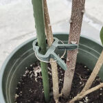 https://velizo.hr/termekkategoria/szepsegapolas-egeszseg/