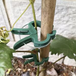 https://velizo.hr/termekkategoria/szepsegapolas-egeszseg/