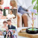 https://velizo.hr/termekkategoria/szepsegapolas-egeszseg/