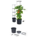 https://velizo.hr/termekkategoria/szepsegapolas-egeszseg/