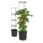 https://velizo.hr/termekkategoria/szepsegapolas-egeszseg/