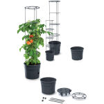 https://velizo.hr/termekkategoria/szepsegapolas-egeszseg/
