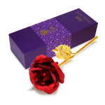 https://velizo.hr/termekkategoria/szepsegapolas-egeszseg/
