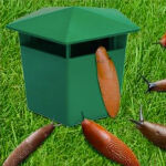 https://velizo.hr/termekkategoria/szepsegapolas-egeszseg/