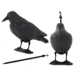 https://velizo.hr/termekkategoria/szepsegapolas-egeszseg/