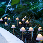 https://velizo.hr/termekkategoria/szepsegapolas-egeszseg/